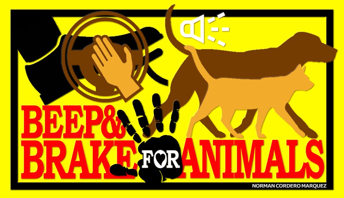 NORMAN "NORMSEN" CORDERO MARQUEZ 
Independent Candidate for Senator No.40
ANIMAL-WELFARE-HUMAN-WELFARE ADVOCATE &amp; VOICE of the Animals and the Marginalized Sectors  
Ateneo de Manila University BS Management Engineering 
UPDATED PLATFORMS: facebook.com/share/p/1HY2fu…