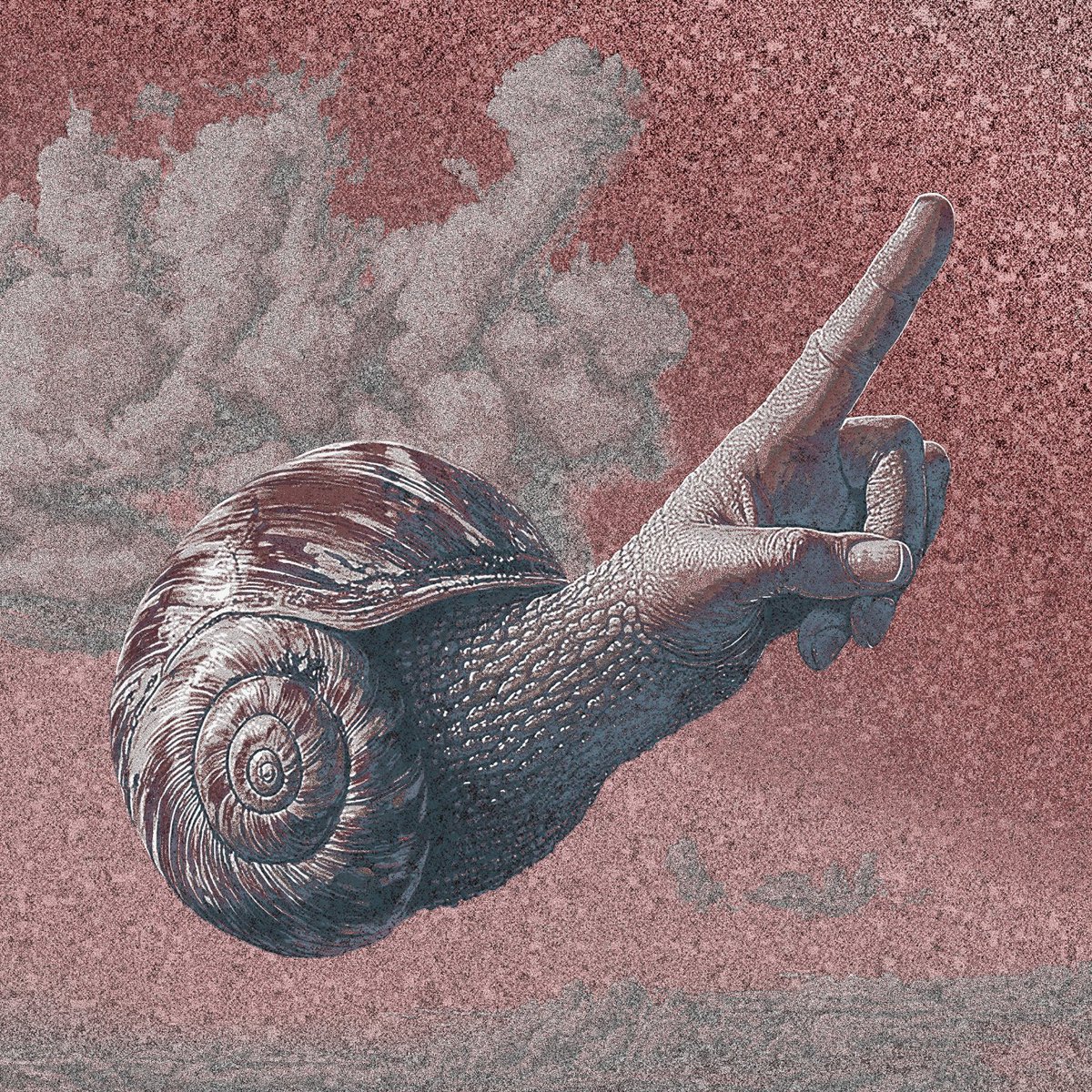 GM, limitless folks! 🐚✨

"Shellevation" is my genesis on <a href="/TransientLabs/">Transient Labs</a>.

- Chain: <a href="/base/">Base</a>
- Min bid: 0.1 ETH / Reserve: 0.113 ETH
- The auction ends in 5 days!

Statement &amp; link ↴