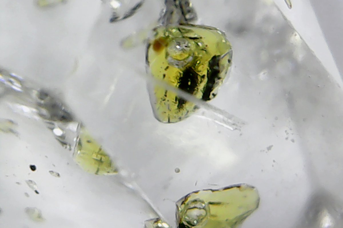 💎The fluorescence of petroleum inclusions in quartz crystals!💎
💎Petroleum fluoresces yellow-green under UV light. Many inclusions contain gas bubbles.💎
#FluorescenceFriday #SciComm #Rocks #Crystals