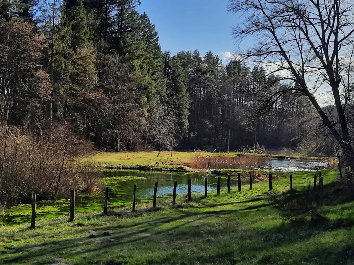 vivi_vivisektor's tweet image. #kaszuby w piątkowe popołudnie.