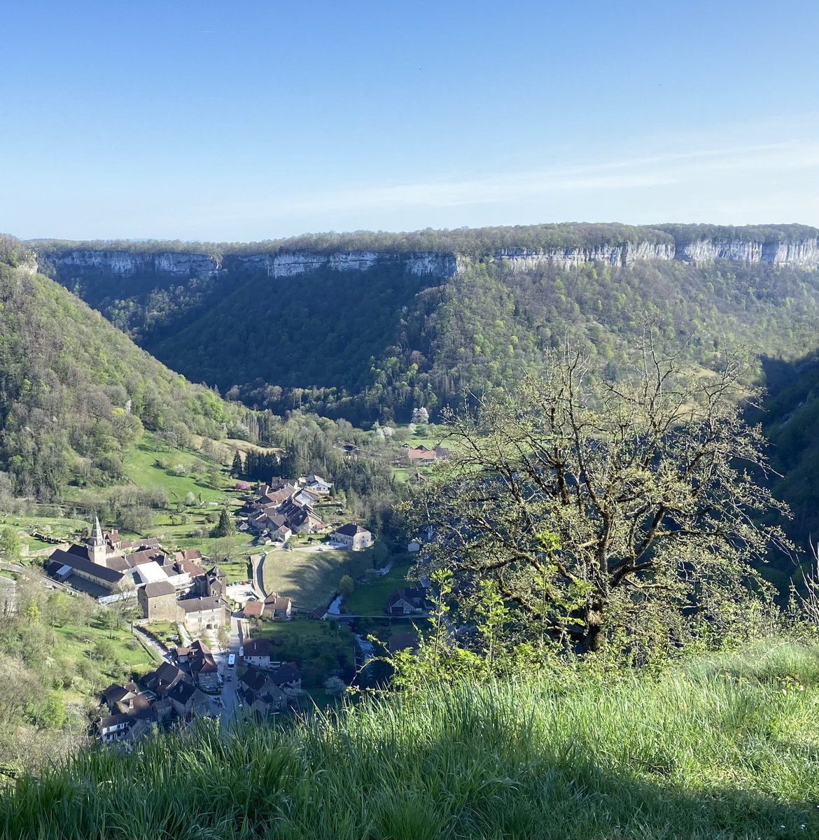 Nathalie Grandvaux 🇨🇦 tweet media