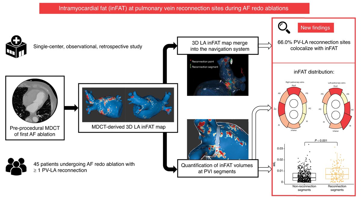 Carlo Gigante (@carlogig) on Twitter photo We often blame PV reconnections on catheter instability or ineffective lesions—even when they seemed effective.
But what if FAT is also to blame?
In EP too—not just in the kitchen—watch out for fat! 🫀🍳
Great work! 👏<a href="/FedericoLandra1/">Federico Landra</a>
doi.org/10.1093/europa… We often blame PV reconnections on catheter instability or ineffective lesions—even when they seemed effective.
But what if FAT is also to blame?
In EP too—not just in the kitchen—watch out for fat! 🫀🍳
Great work! 👏<a href="/FedericoLandra1/">Federico Landra</a>
doi.org/10.1093/europa…