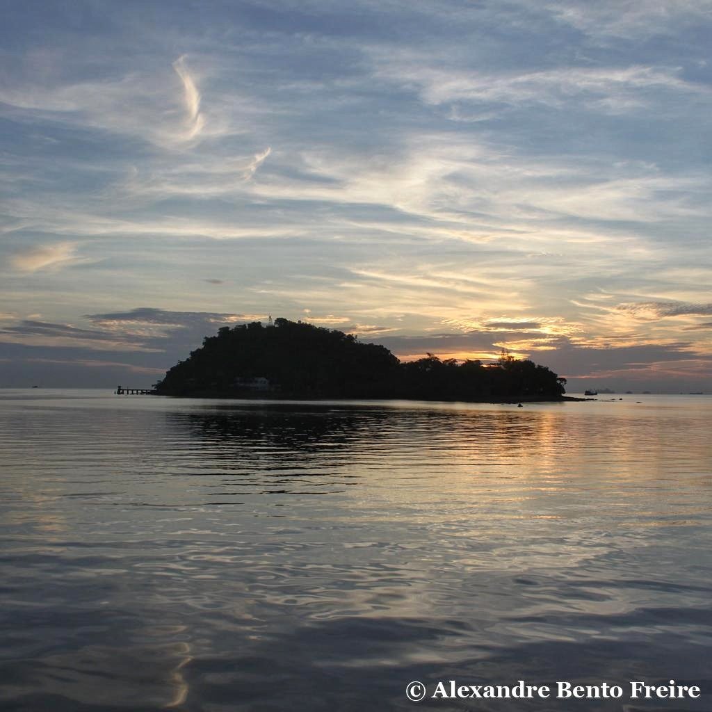 Alexandre Bento Freire tweet media