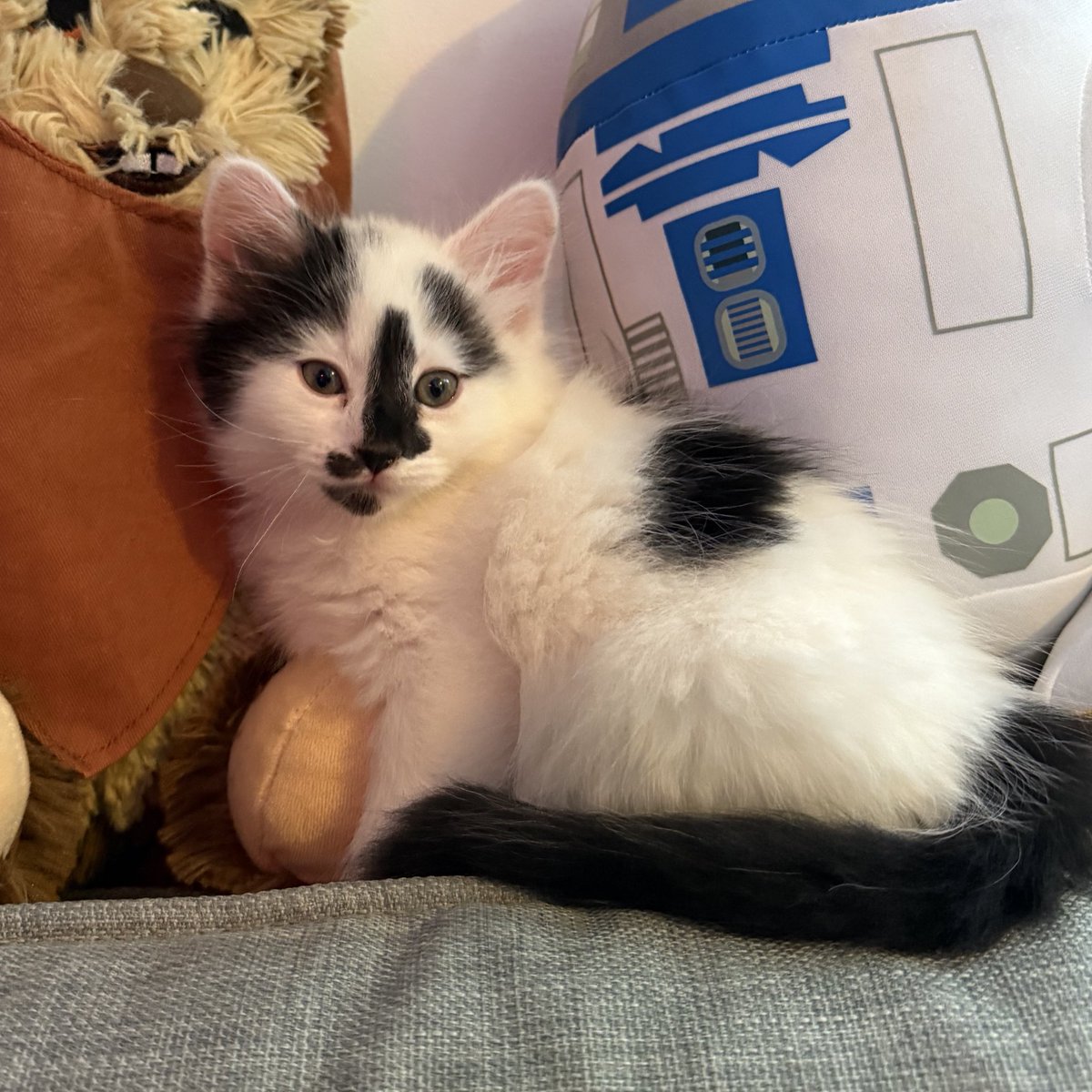 Joseph Marshall tweet media