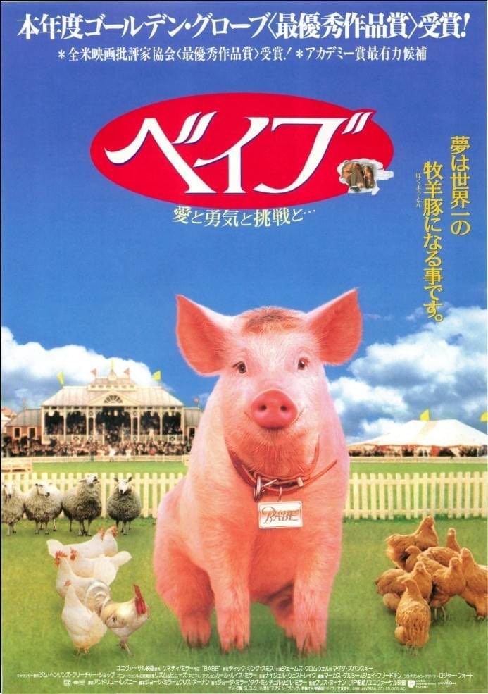 きゃてぃ子 tweet media