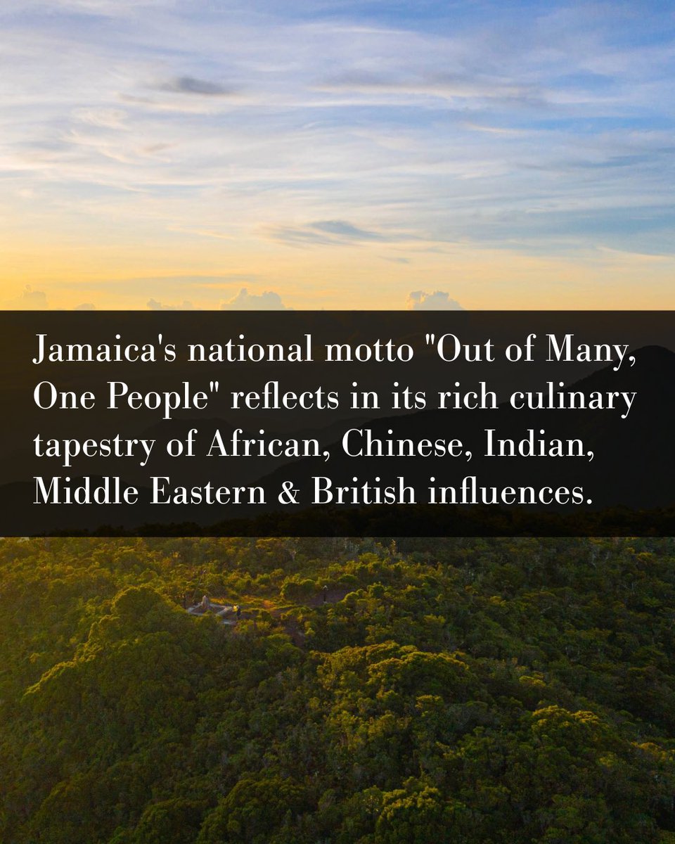 dreamscapes_mag's tweet photo. @VisitJamaicaNow 🤓🍽️ https://t.co/L9oIs3Is9k