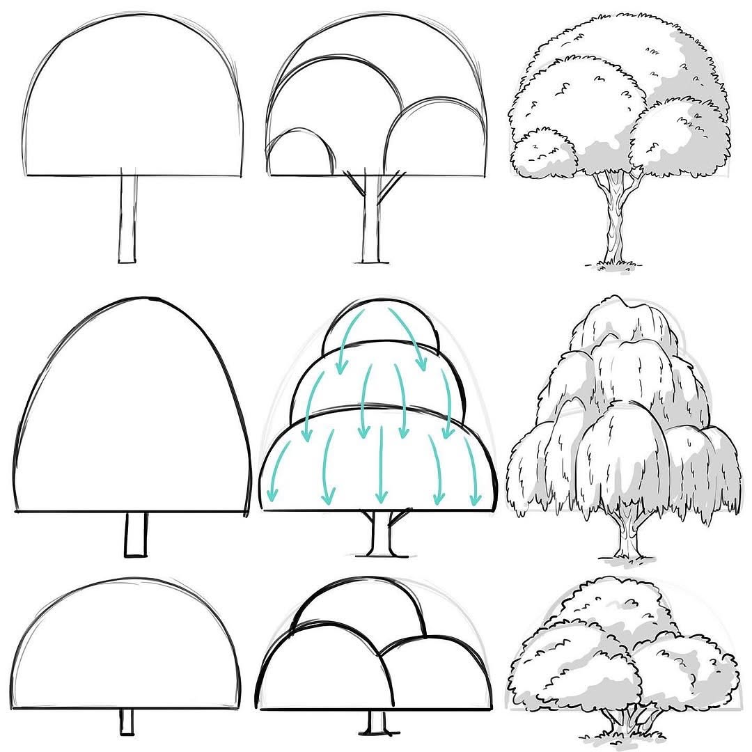xppenusa's tweet image. #xppentutorial
How to draw trees. Starting simple!🍃🍃
Credit: @MitchLeeuwe 
#art #draw #drawing #artist #sketch #tekenen #doodle #dailyart