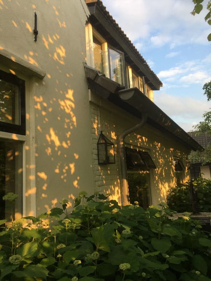 حقیقی چیزیں صرف ایک بار ہوتی ہیں... موت، پیدائش، محبت، کچھ بھی دو بارہ نہیں ہوتا سوائے وہم کے..!!!🖤
~کارلوس زافون