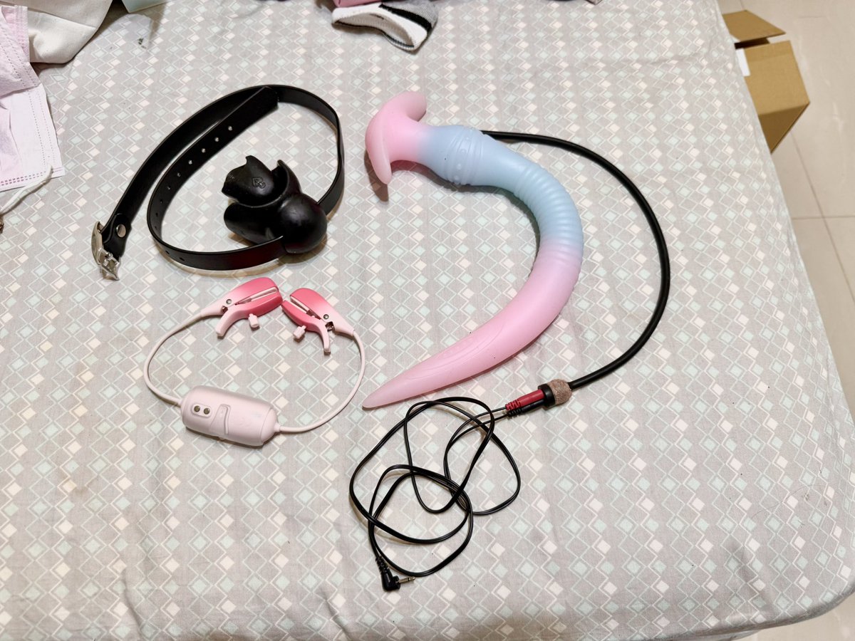 兩手空空但是卻帶了很多東西出門XD

#口球 #CB鎖 #電擊 #肛塞 #乳夾 #偽娘