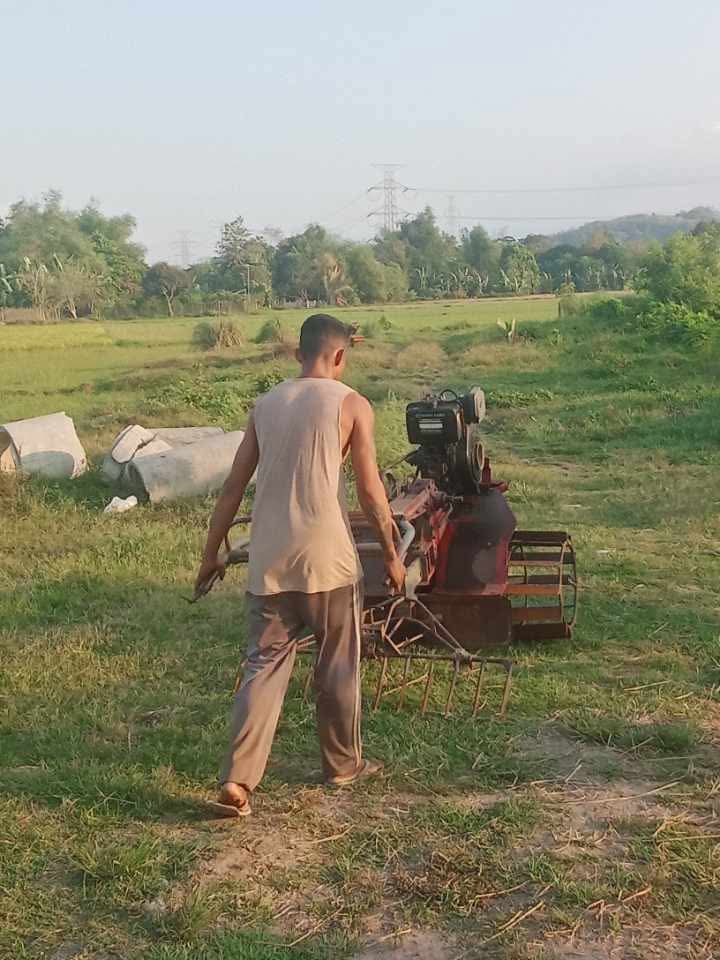 UD farmer tweet media