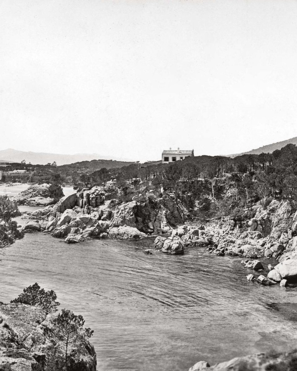 Editorial Efadós tweet media