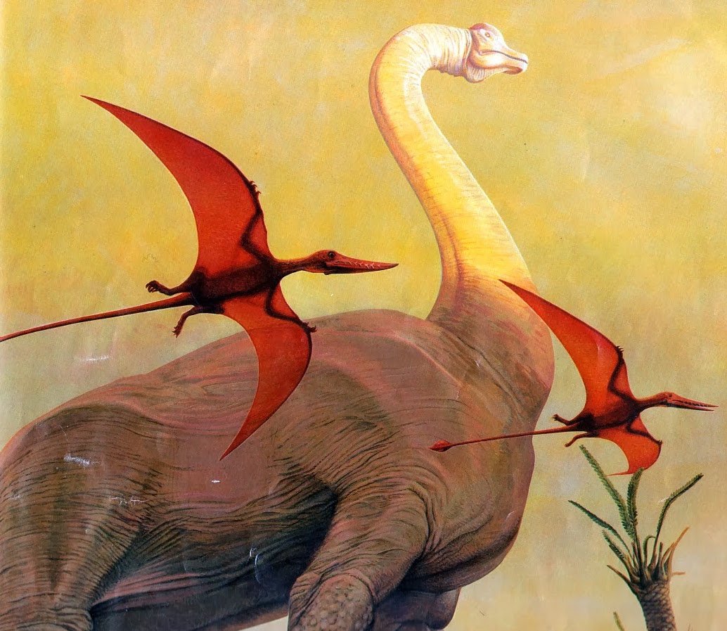 Liam Elward Paleoart 🇵🇸 tweet media