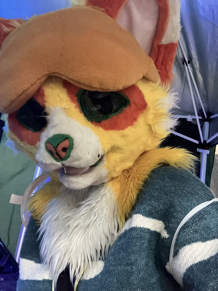 furbagfurry tweet media