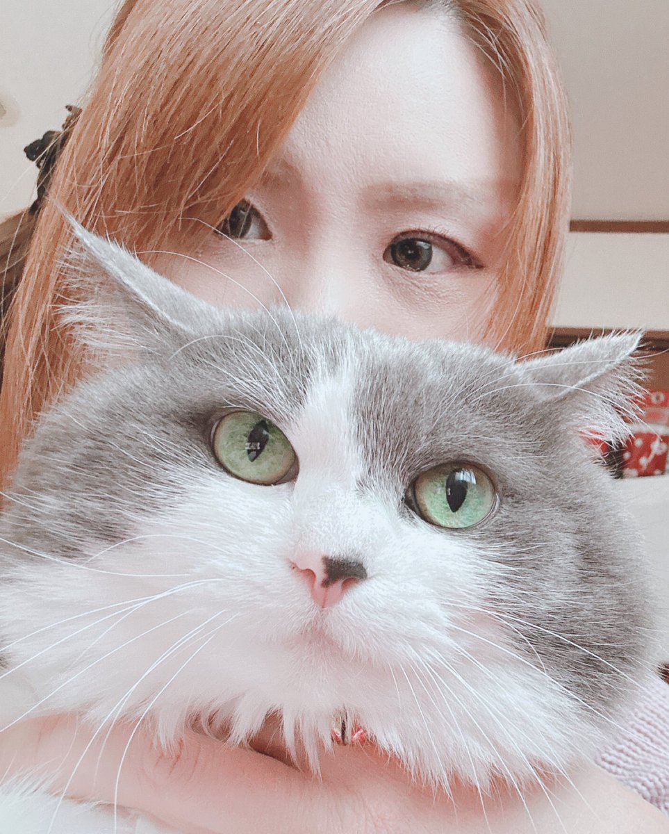 今日のアッシュ☆

Chat GPTを初めて使用して見ました☆

左⬅️がアニメ風イラスト右➡️が実写版です❣️🐈‍⬛

#猫 #ネコ #ニャンコ #ペット #ChatGPT