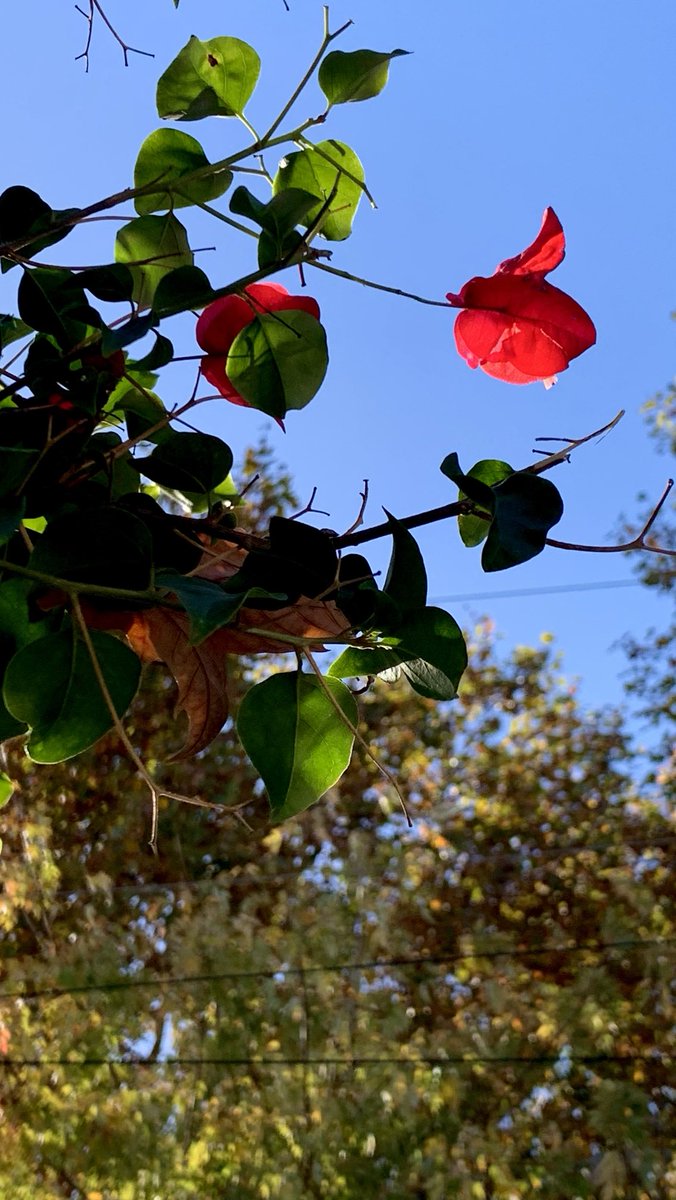 ParadoEnDos's tweet photo. Buen día para TODOS! 👋😘
#excelenteFinde 🥳 https://t.co/BXNZlQNFZ0