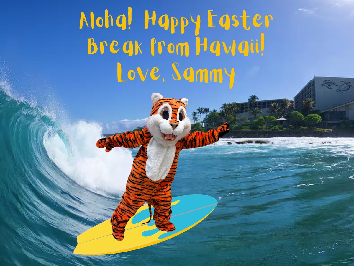 Sacred Heart Academy tweet media