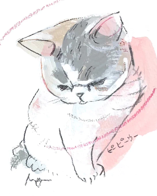 猫さんオーダー作品のご紹介 うなだれ顔がかわいい スコティッシュフォールドさんです #猫いっぱいギャラリー #阪神梅田本店 #オーダーイラスト