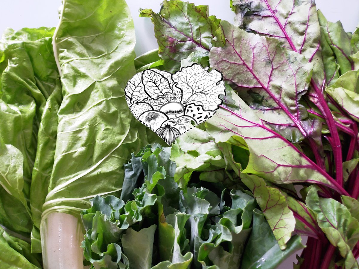 prazaverdura's tweet photo. Algunhas das moitas #verduras q podes ir mercar mañán á #PrazadaVerdura de #Vilagarcía 💚
Estas son de #aBraña que tamén vende #hortalizas #herbas e #froitas #detemporada 🌻
As #praceiras 👩🏻🌾 espérante cos #alimentos q coidan nas súas #hortas 🌱💧🥗
Grazas e boa fin de semana 🌦️ https://t.co/a0nh85bINK