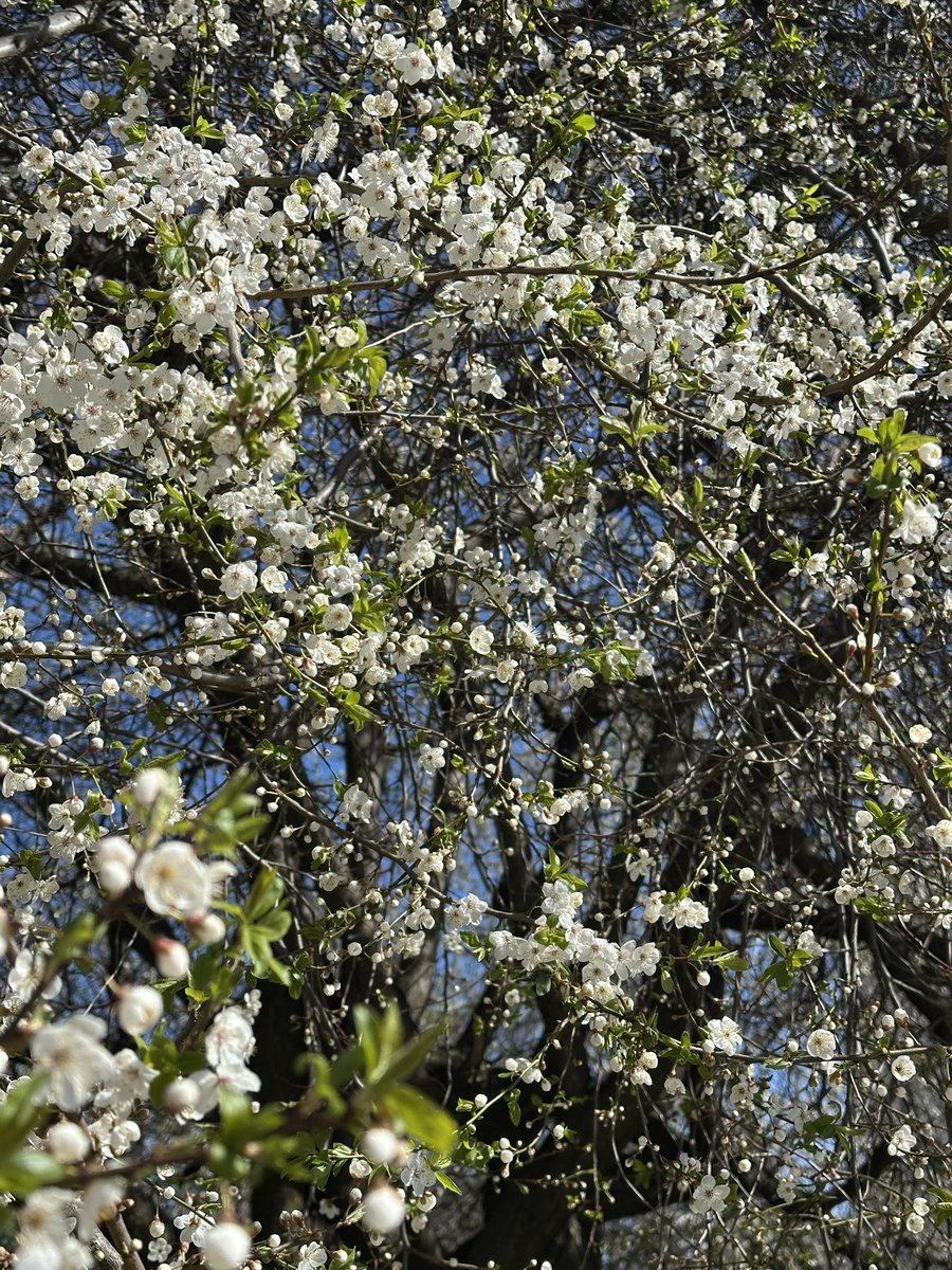 Hey everyone! Wishing you a wonderful day and great mood! May luck be on your side today, and may every moment bring you joy! 🌸💫