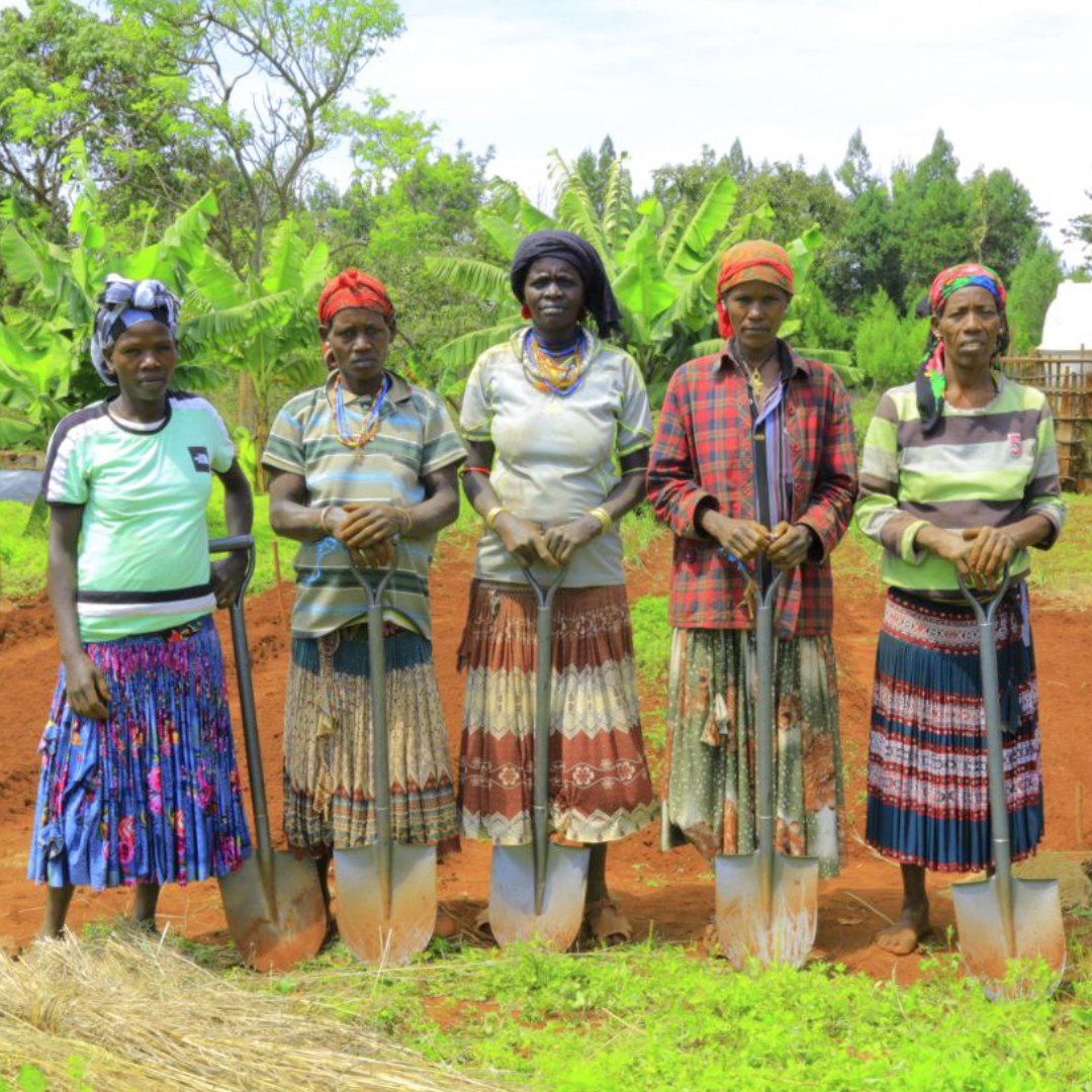 ForAfrikaOrg's tweet photo. Our interventions have been recognised by @KonsoDevelopmentAssociation in Ethiopia.

"Our localised approach has been instrumental in achieving this milestone," said Country Director, Tsedeke Desalegn.

Read more about it here: https://t.co/cFThY9C2KF

#WorldHeritageSite #Konso https://t.co/SgWNGWSvhQ
