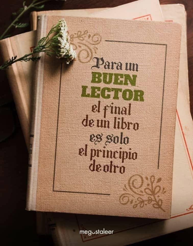 Universo_libros's tweet photo. 📚📚📚 https://t.co/aMVBwi8baF