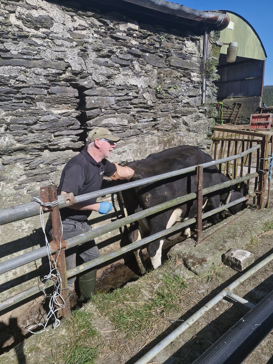 Patrick Mc Carthy tweet media