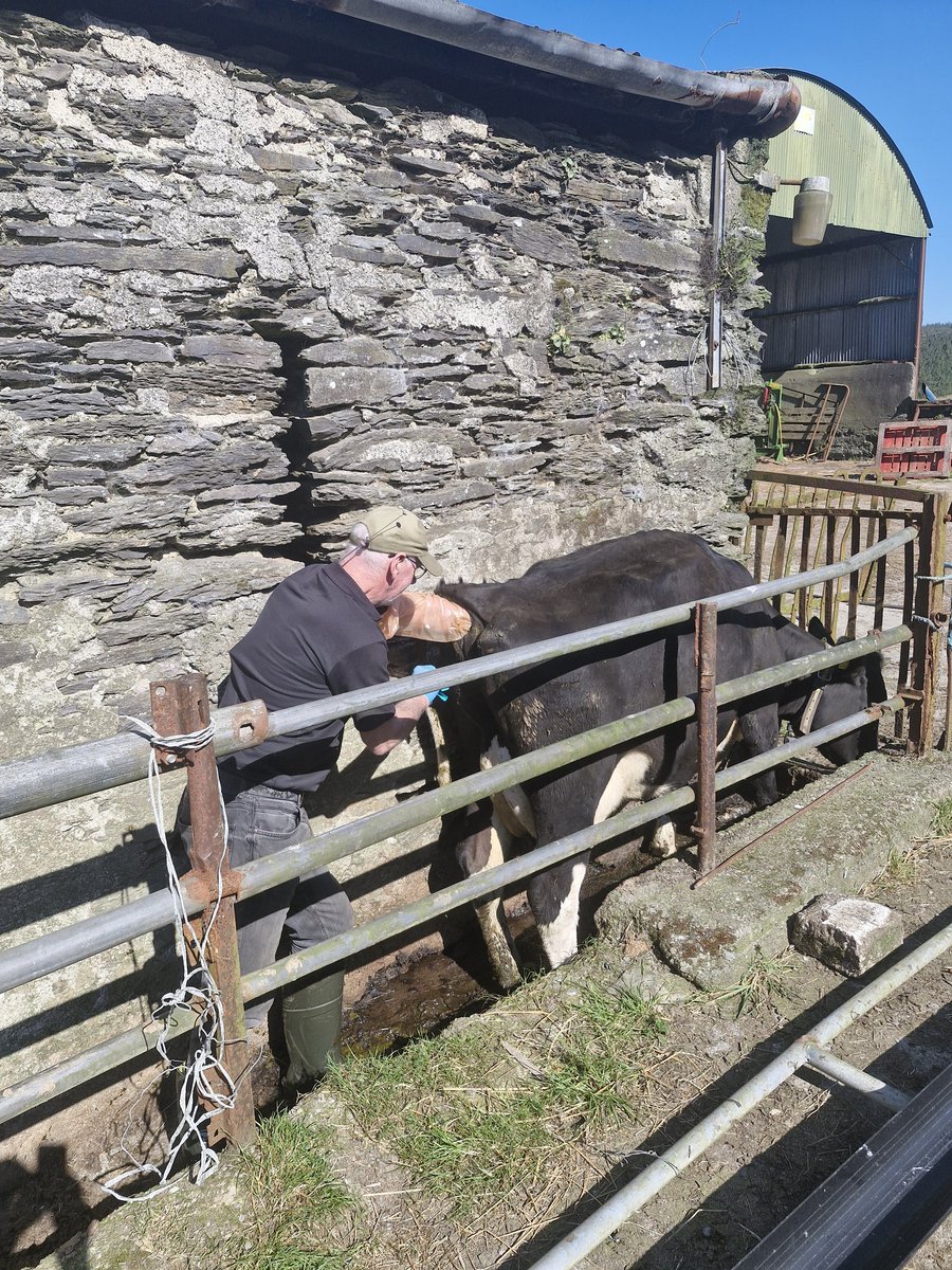 Patrick Mc Carthy tweet media