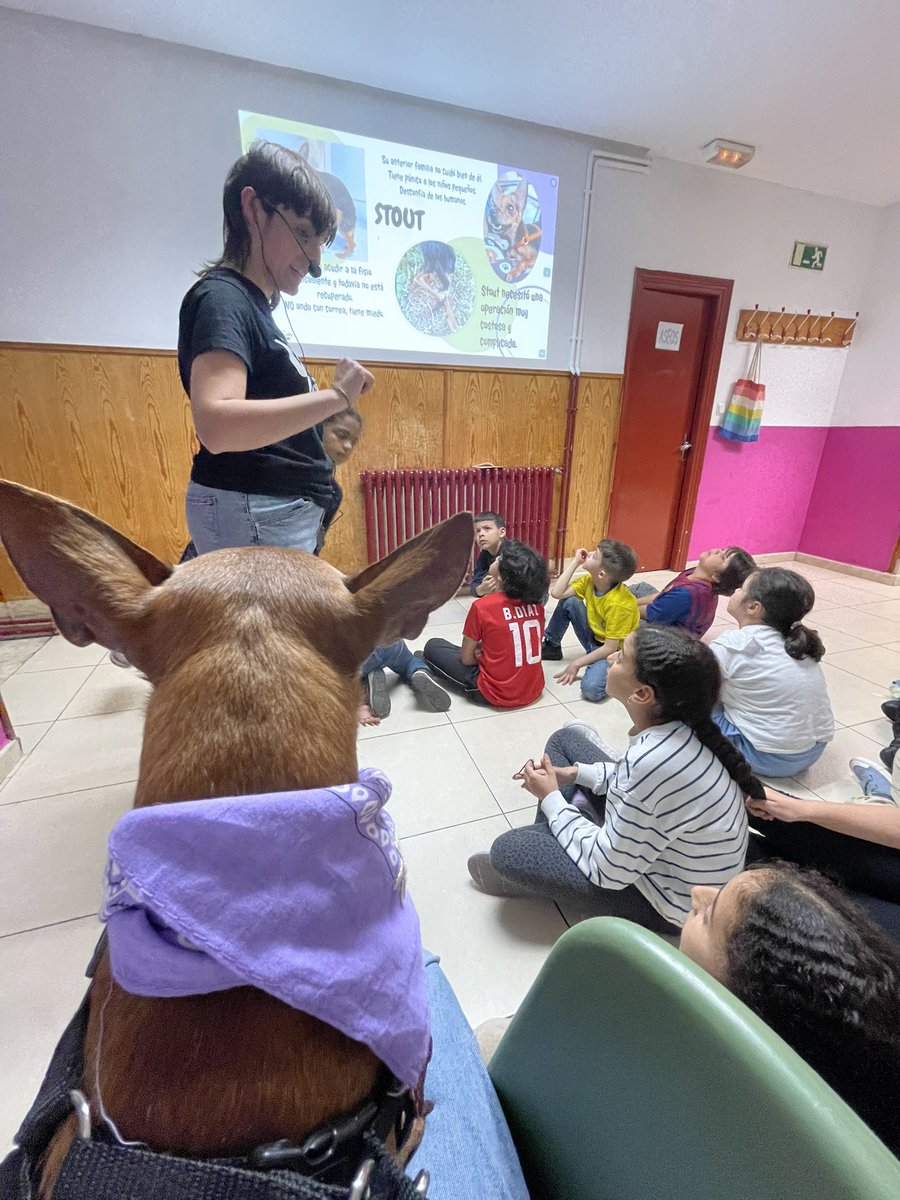 F_Rondilla's tweet photo. 🐶🐕 Esta semana en el programa PASOS hemos estado haciendo una actividad con @defaniva conociendo más como poder ayudar a nuestros amigos perrunos.
#pasos #defaniva #infancia https://t.co/nJPyBRasln