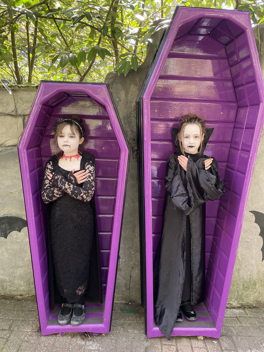 David Rees tweet media