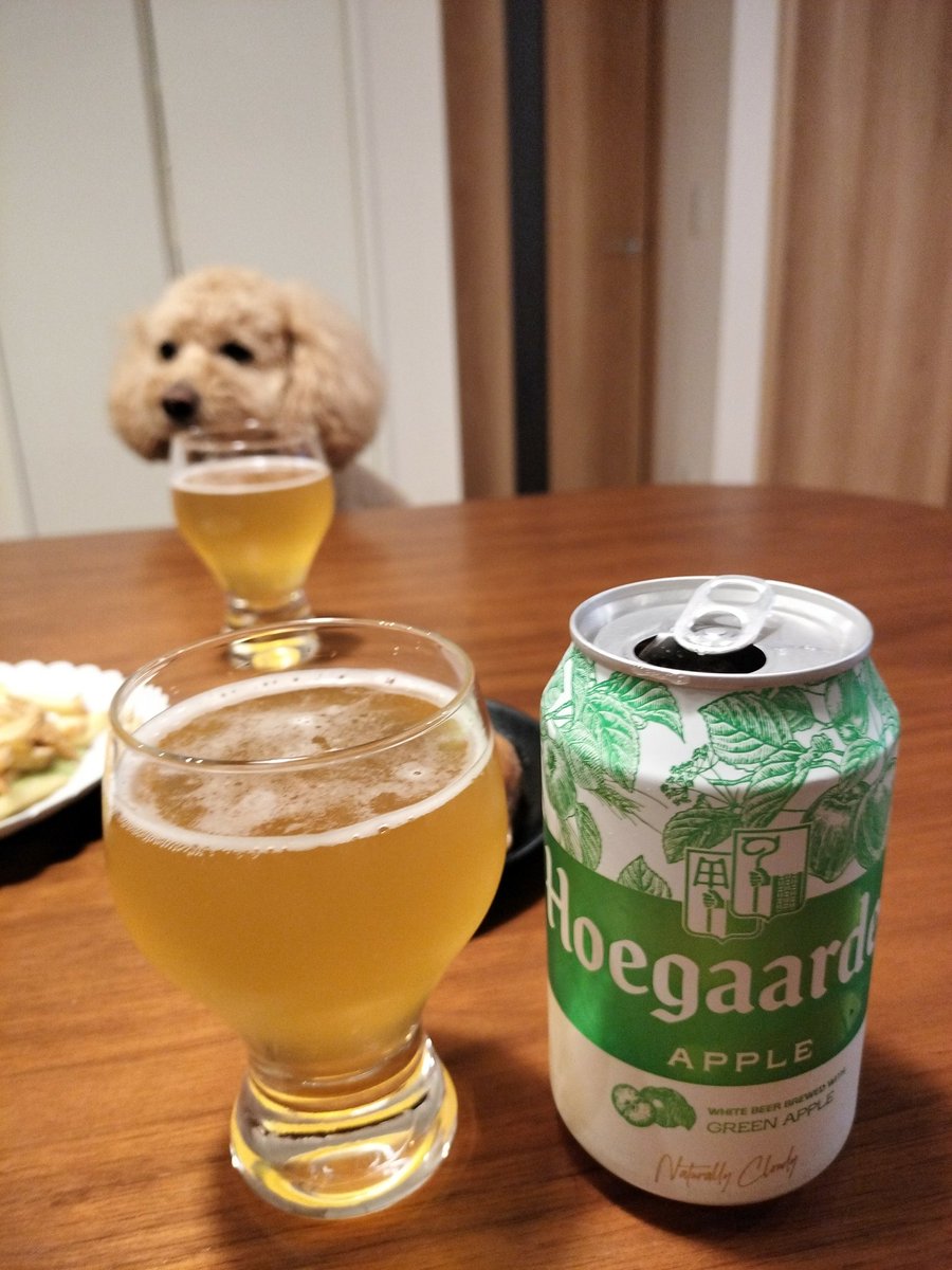 Needmorebeeer's tweet photo. 本日の一杯🍺 限定醸造 ヒューガルデン グリーンアップル

缶を開けた瞬間、青リンゴの爽やかなアロマが広がる🍎
リンゴの風味＆強い甘みが主役で、苦味はほぼゼロ。

ヒューガルデンらしいやさしいスパイス感もあり、
まるでビアカクテルのような1杯！ https://t.co/36rvQlTzRn