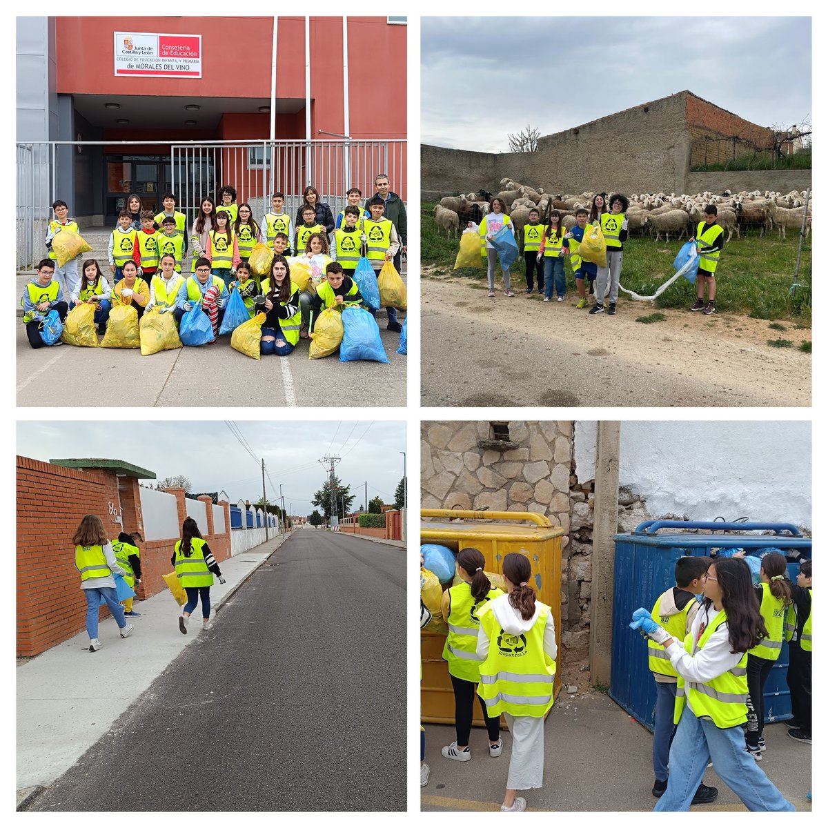 Para terminar el trimestre las ECOPATRULLAS de 6º han celebrado una jornada de RURALAEZA, recogiendo papel y plásticos por diferentes calles de nuestra localidad #centrosostenibleCYL #SelloAmbientalJCYL #DesdeLaMañanaVidaSana