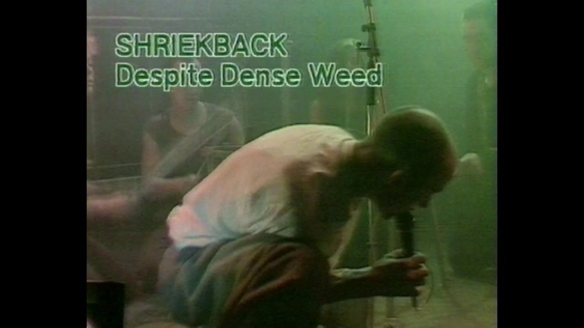 Shriekback - My Spine Is The Bassline, Despite Dense Weed Live Riverside 22.11.82 featuring some vintage Dave Allen - the final YouTube comments are worth reading as well🤣 : bit.ly/4jqKGsh