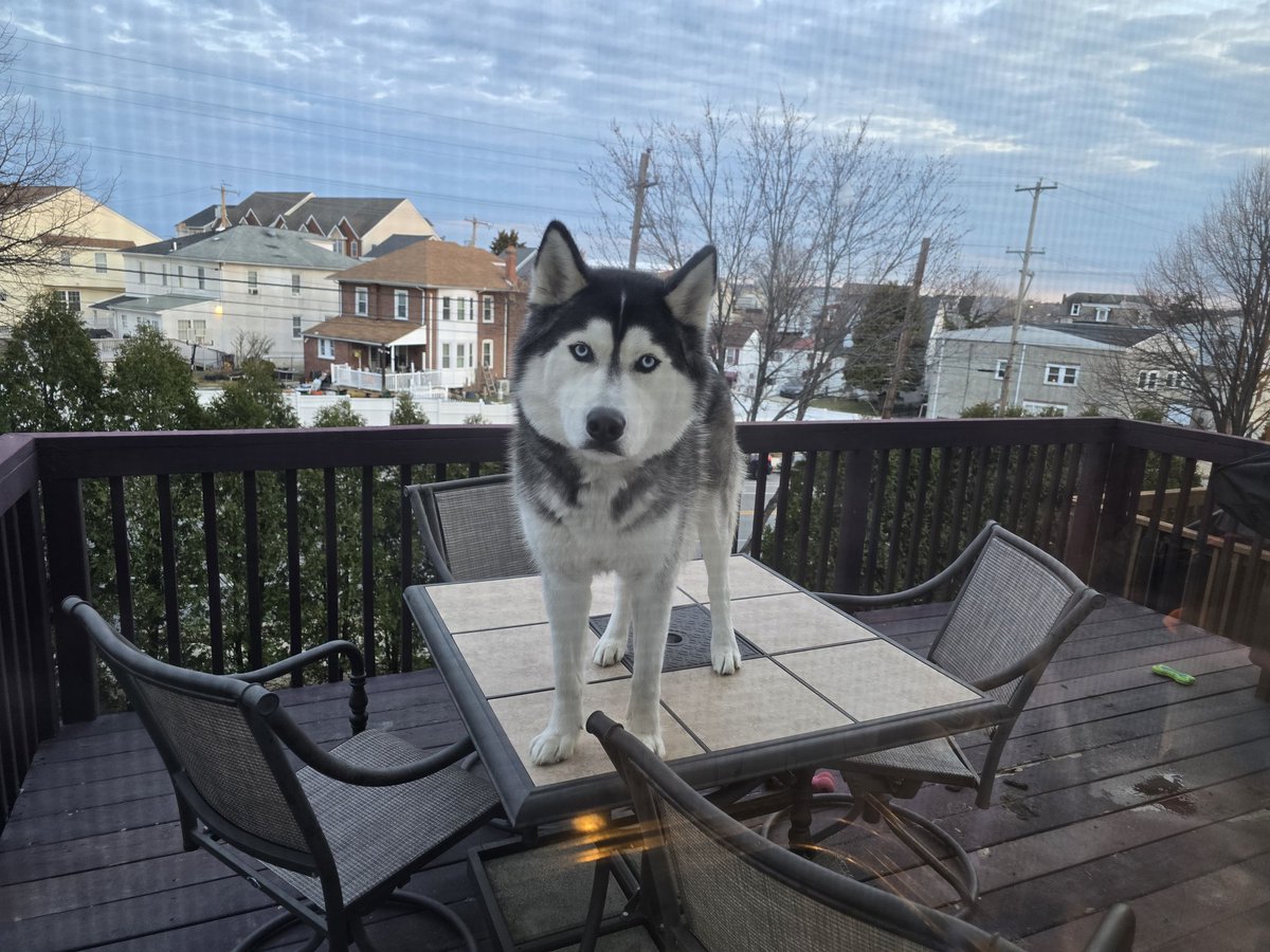 Marquis Weeks tweet media