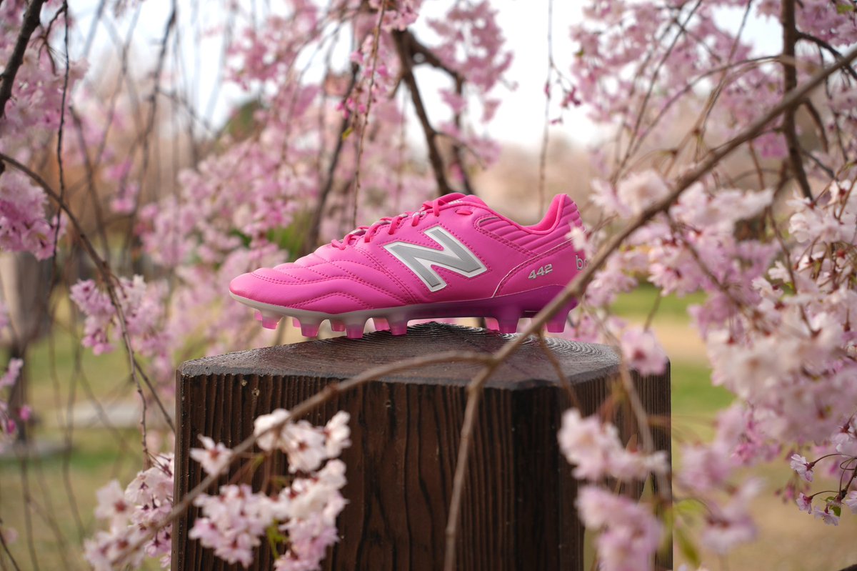 koheisblog's tweet photo. 今年のお花見のお供は442v2🌸 https://t.co/kxm2SVnn0T