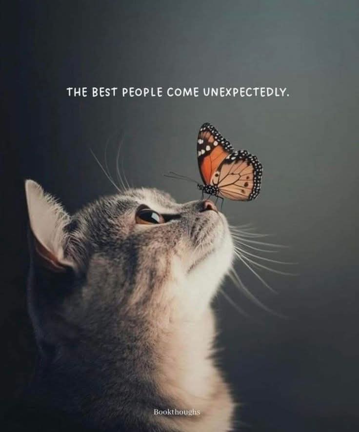 CountessA3's tweet photo. The best people come unexpectedly https://t.co/kMbAsVi7av