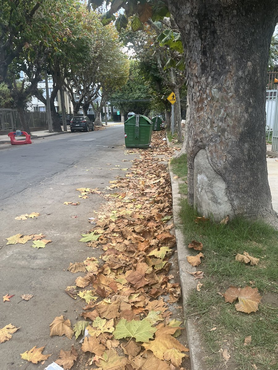 cotesen's tweet photo. @munivina están haciendo control de lo que hacen los del aseo en las calles ? Hay mucha basura y hojas https://t.co/sbnI0L6yCn