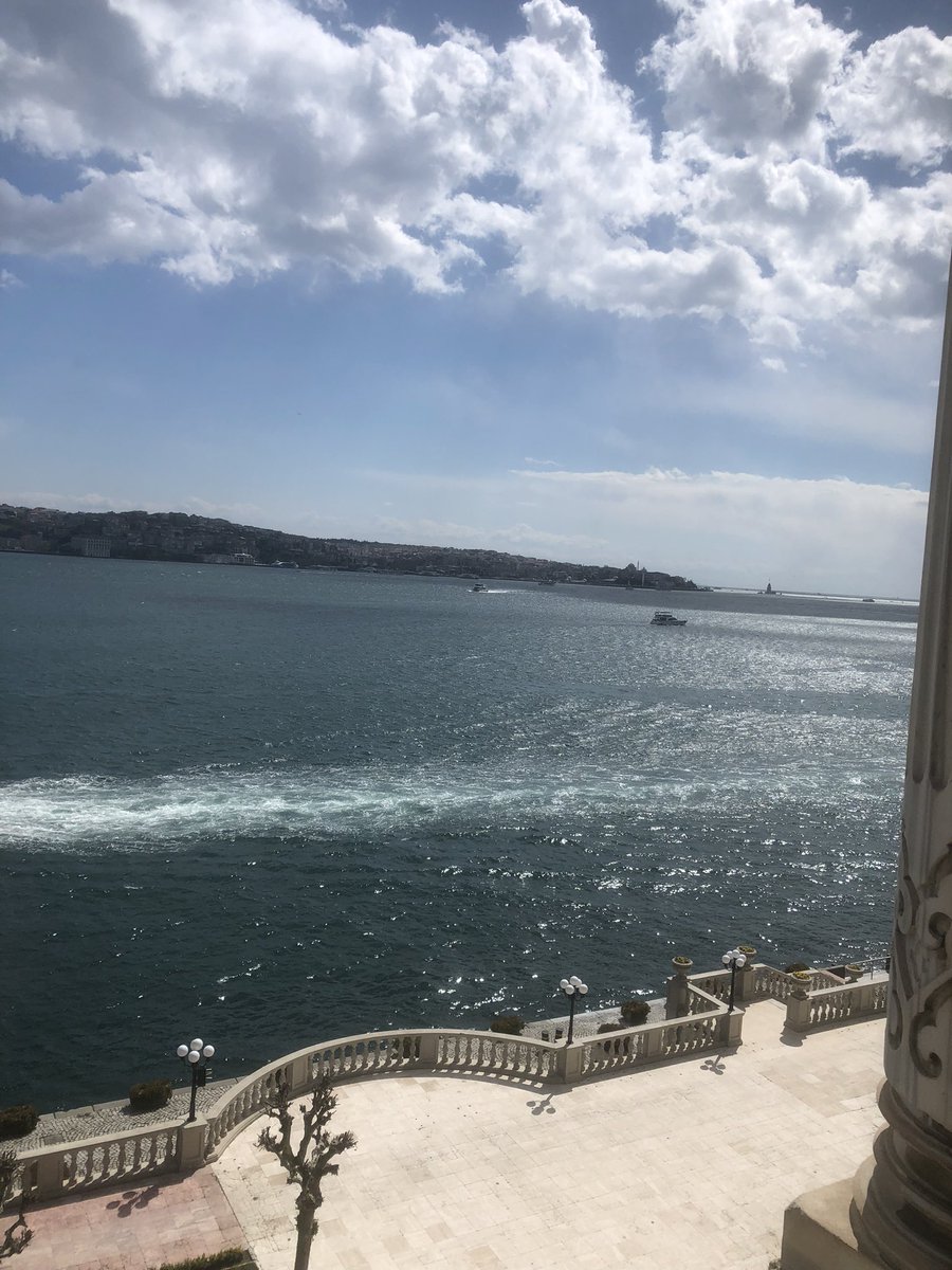 Ates1990491282's tweet photo. Work- still a live- Çırağan sarayı- https://t.co/JF5eNhtTXr