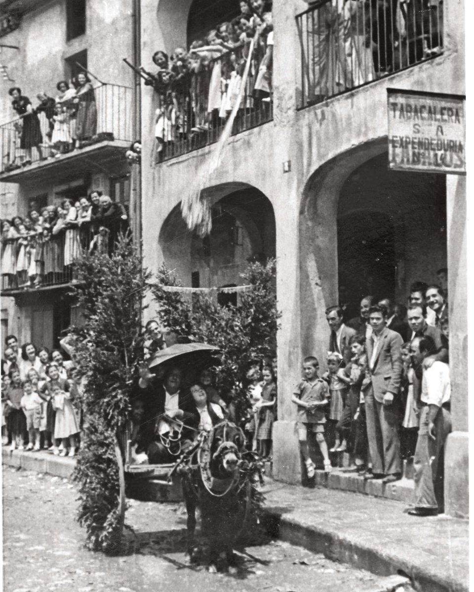 Editorial Efadós tweet media