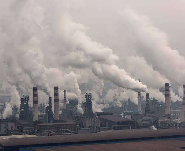 Havayı karbon değil para kirletir. #iklimkanununahayır