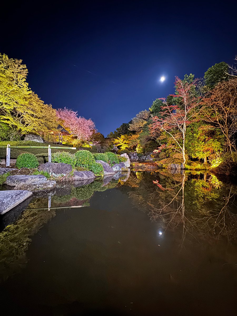 daikomatsuyama's tweet photo. 4月11日。
お月様とさくら。
まさに、明鏡止水。
#taizoin #sakura #kyoto #明鏡止水 #退蔵院 https://t.co/PHLLQOkvBI