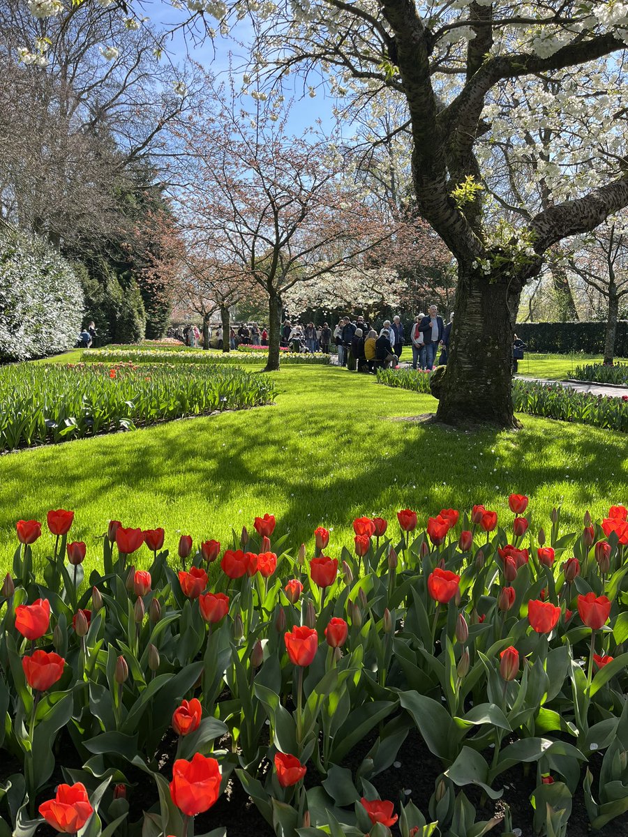 Prachtig bezoek deze week aan <a href="/visitkeukenhof/">Keukenhof</a> Alleen jammer dat #gastvrijheid en #service niet heel hoog op prioriteitenlijst staan van het park. Daarover valt nog veel te leren.