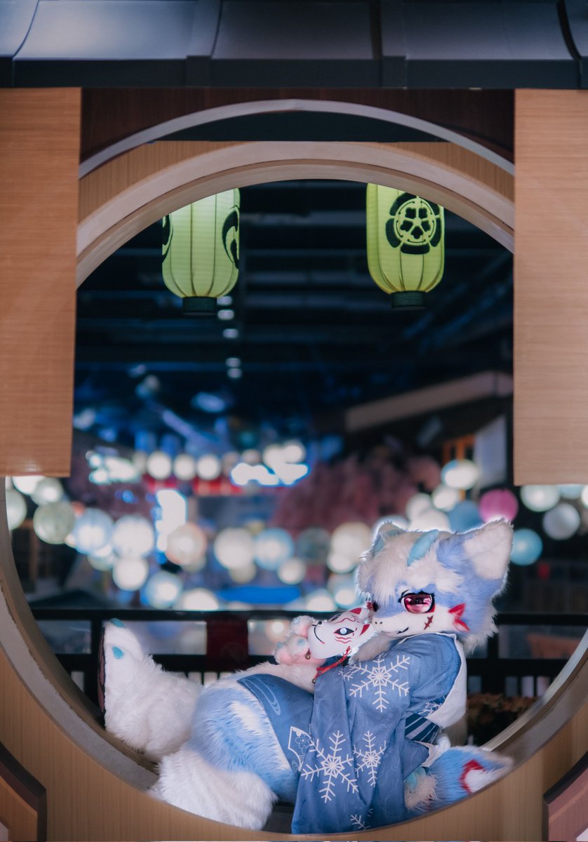 🏮🏮🏮
📸：<a href="/AOI_youyou/">苍又又又 AOI</a> 

#FursuitFriday