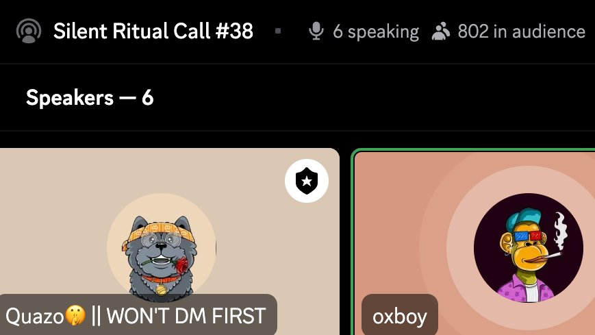 silentdao_'s tweet photo. 800+ people in todays ritual call....a silent storm is brewing - join the call if you haven't yet. https://t.co/feSEnDot4C