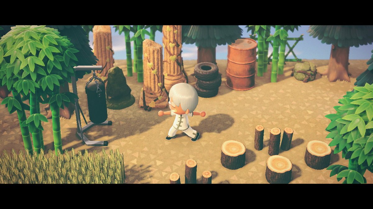Rio_gameSC's tweet photo. レオくんの修行場とプライベートジム
#あつまれどうぶつの森 https://t.co/ycN2ehEUOD