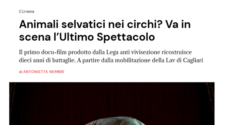 LAV_Italia's tweet photo. L'Ultimo Spettacolo: 70 minuti di film per raccontare 10 anni della battaglia legale di #LAV in difesa degli animali sfruttati nei circhi. Un film dal valore sociale e politico nelle sale di tutta Italia. Ne ha scritto @AntoNembri su @VITAnonprofit 👇