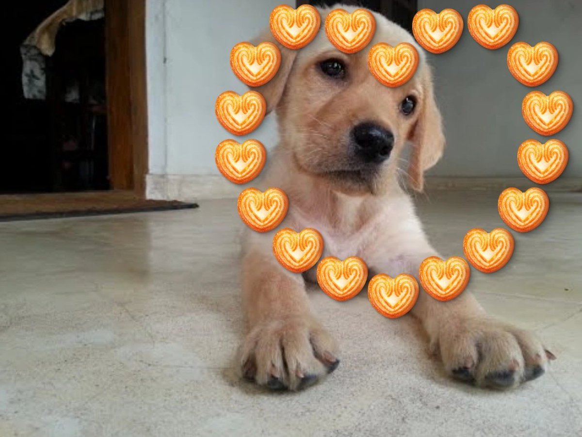 My little heart posing like a pookie inside little hearts