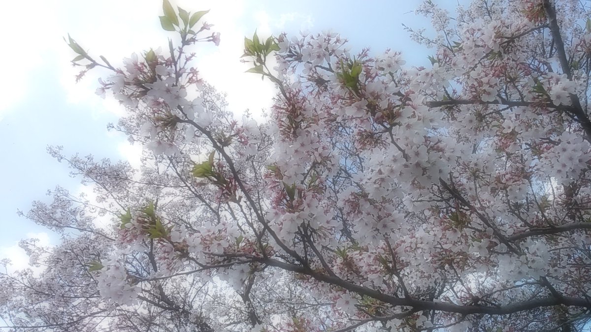 あなたとの
　　　　想い出 🍀*゜•*¨*•.¸¸❀