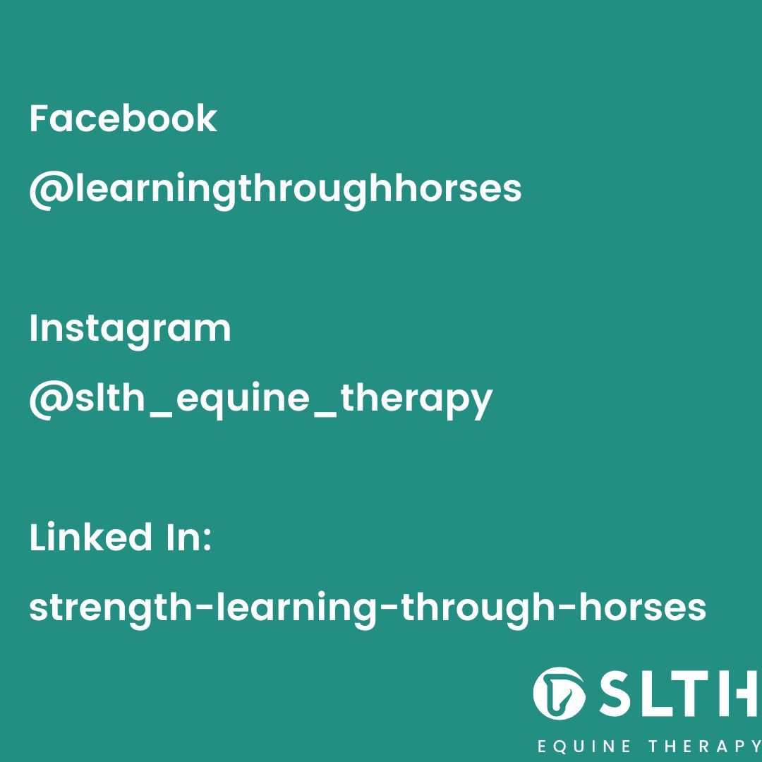 Strength and Learning Through Horses tweet media