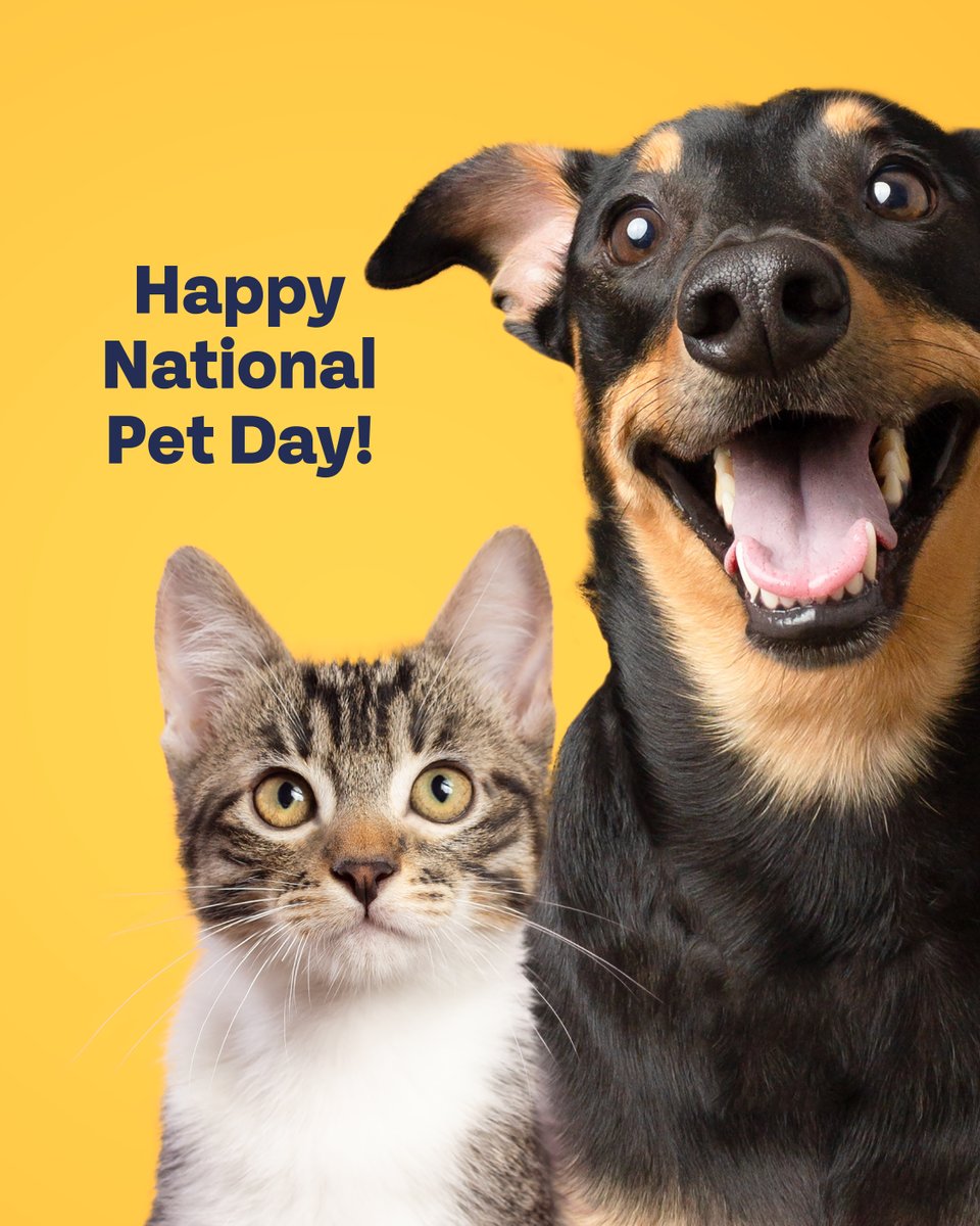 Happy National Pet Day! 🎉 Today, we celebrate all pets, big or small, furry, scaly, or spiky! 🐾 Show your love by keeping them healthy, don’t forget to protect your furry friends from pesky parasites. A little care goes a long way in keeping our pets itch-free and thriving!