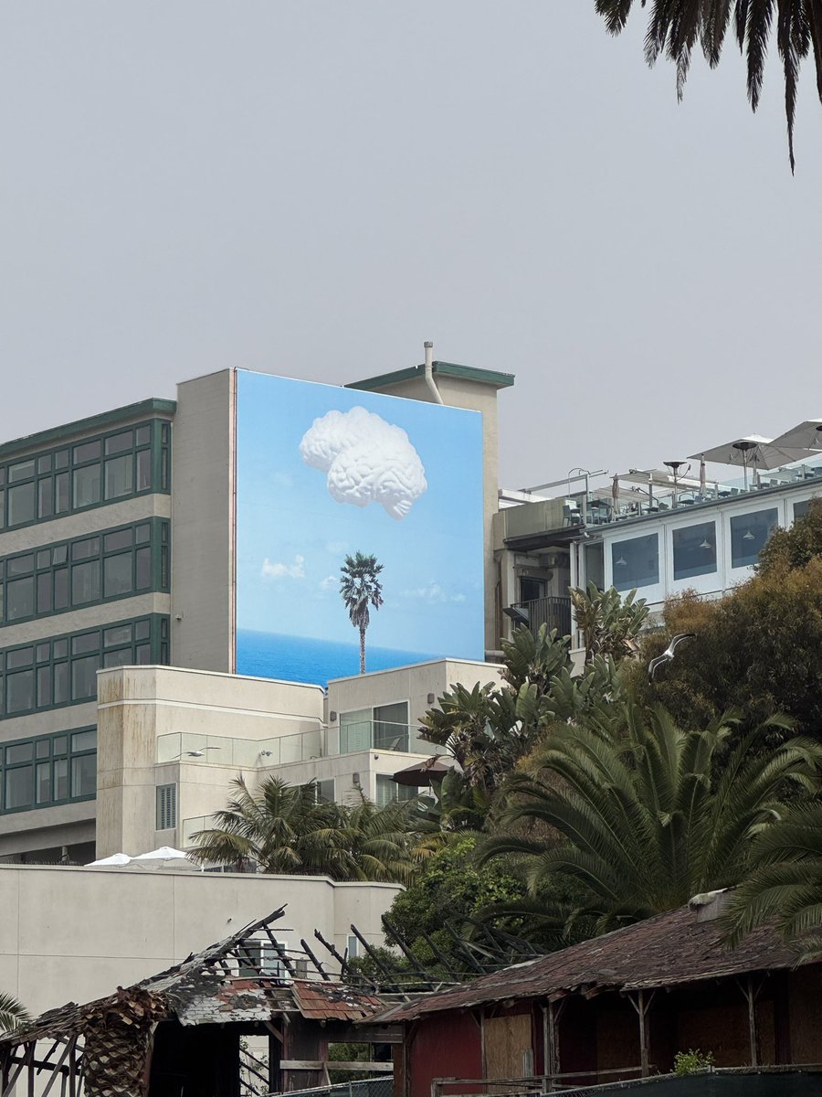 LakhotiaNeuro's tweet image. An appropriate mural to end #AANAM trip! 

#BrainCloud #Bluesky 🧠☁️🙂